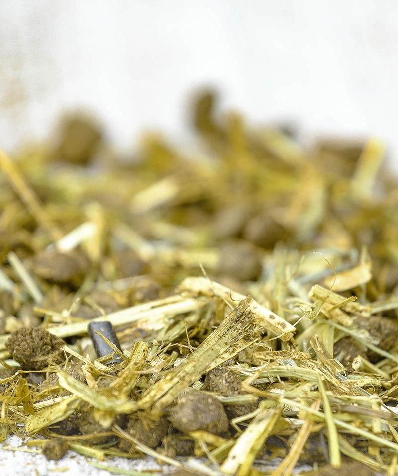 18521708-1.jpg