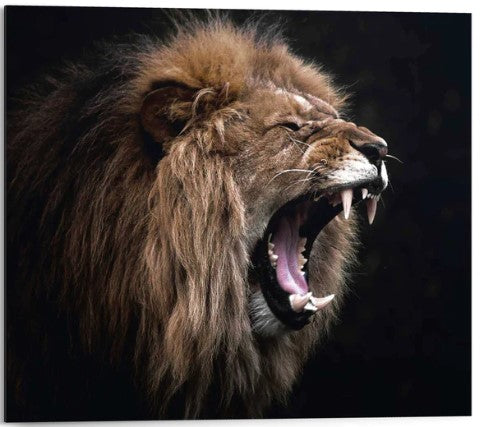 18281415-2.jpg