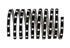15776686.jpg