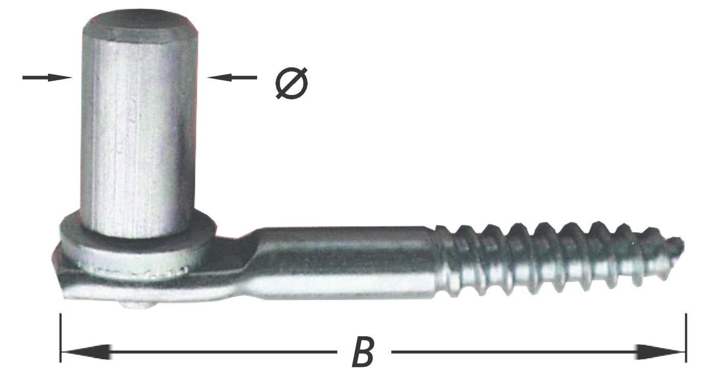 350503.jpg