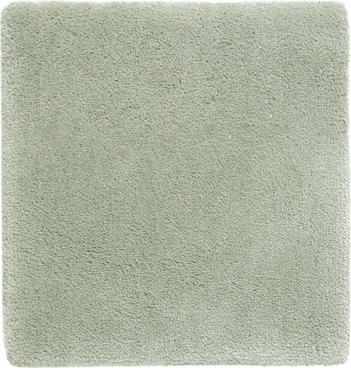 20046020.jpg