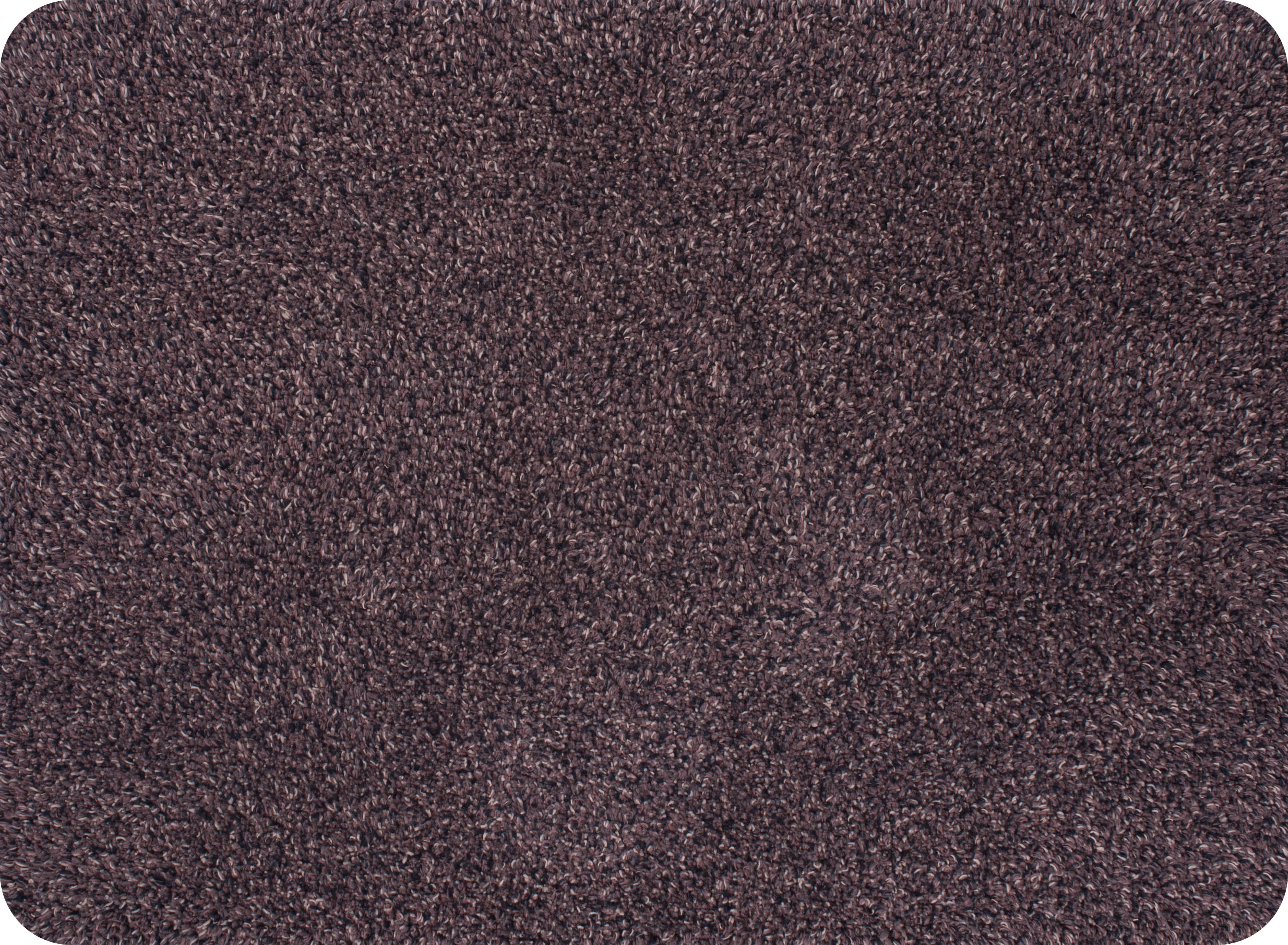 14459687.jpg