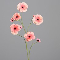 18859719.jpg