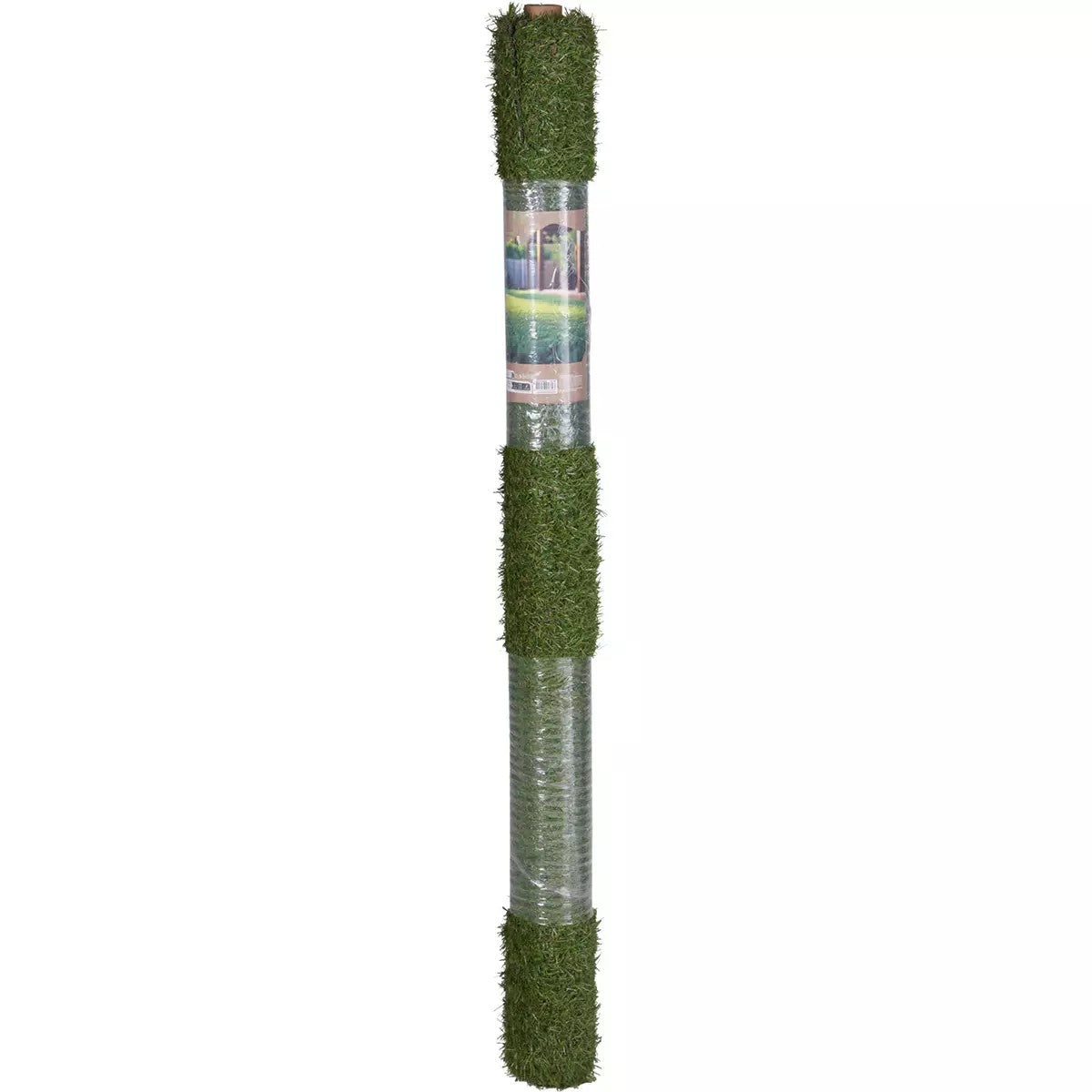 20035131.jpg