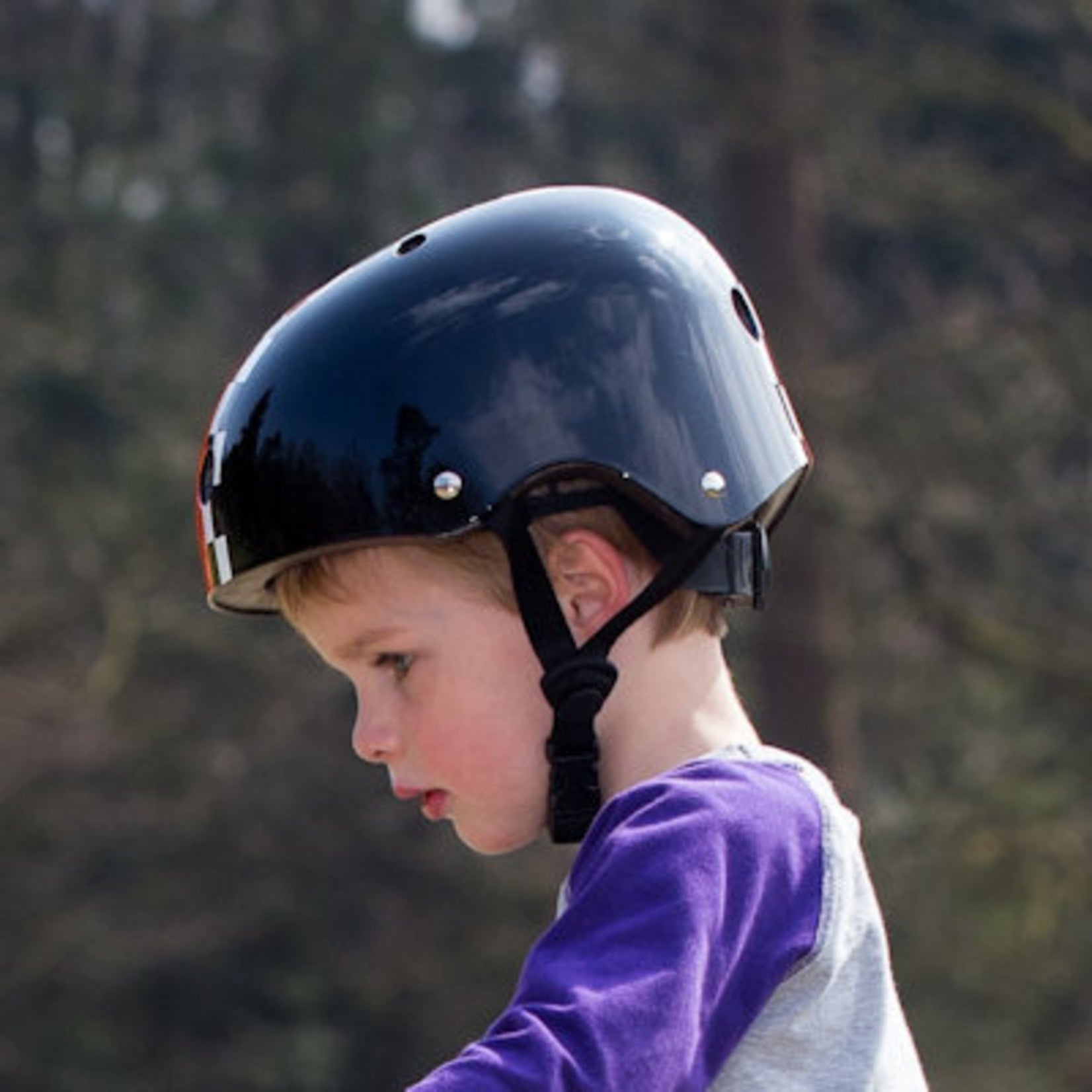 17290779-1.jpg