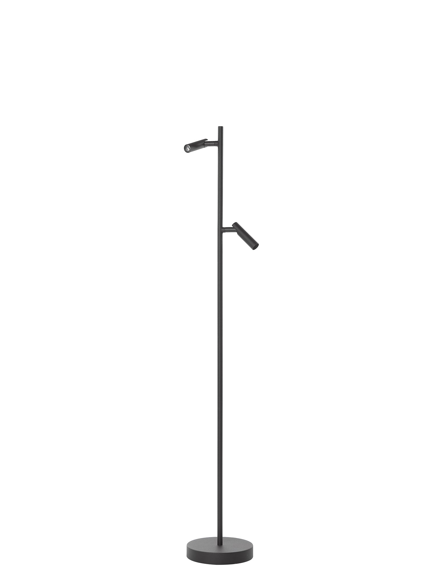 18308888.jpg