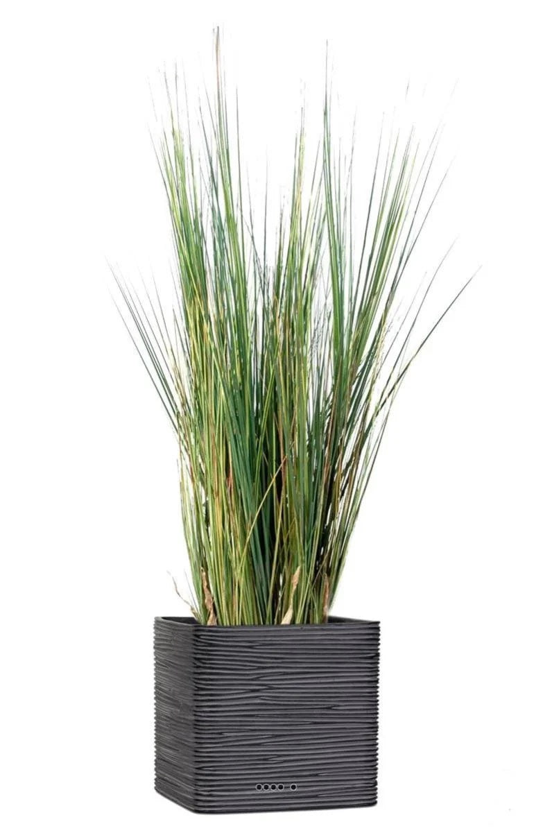 17408598.jpg