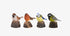 18682214.jpg