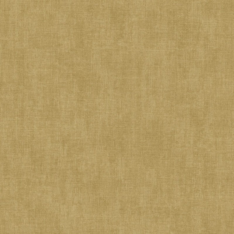 16785887.jpg