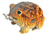 18876125-1.jpg
