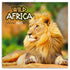 17699510.jpg