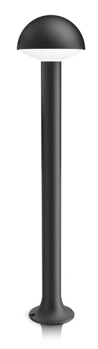 14548411.jpg