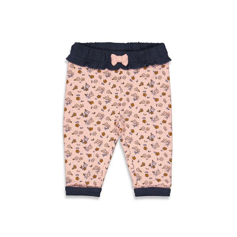 17784720.jpg