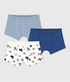 20050062.jpg