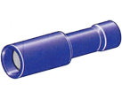 435190.jpg