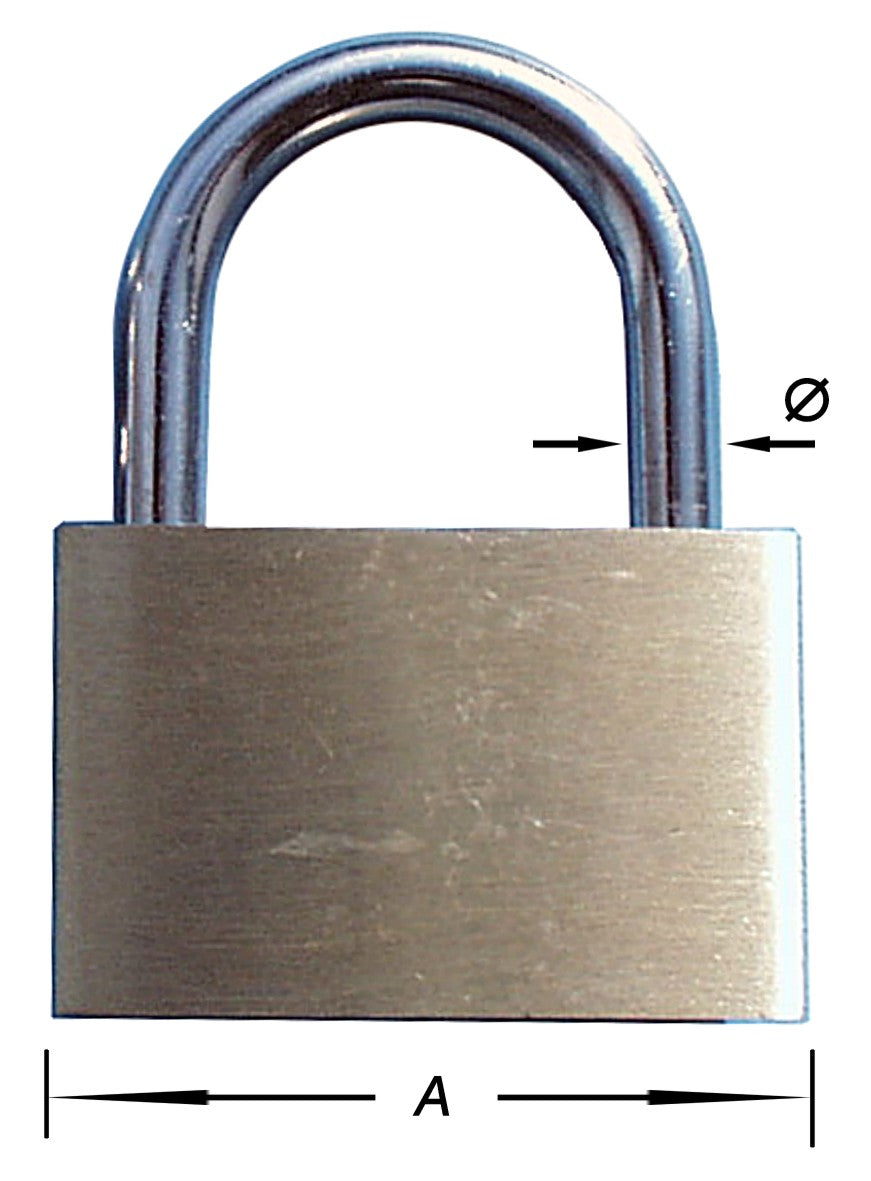 14564088.jpg
