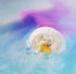 18901234-1.jpg